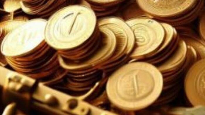 NextImg:Despite IMF Rebuke, Zimbabwe Sells $14 Million Gold-Backed Digital Tokens In First Issue