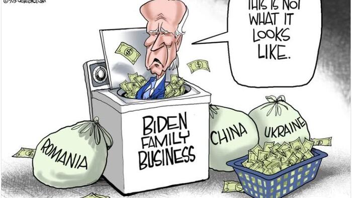 NextImg:Turley: America's Blackout On Biden Corruption Is Truly 'Pulitzer-Level Stuff'