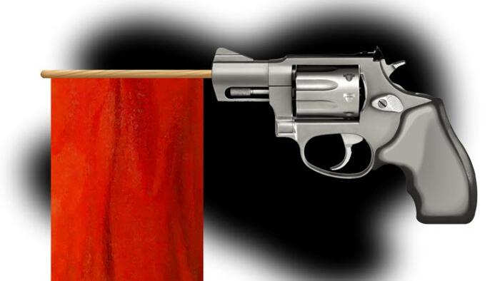 NextImg:Ron Paul Wrecks 'Red Flag' Gun Laws