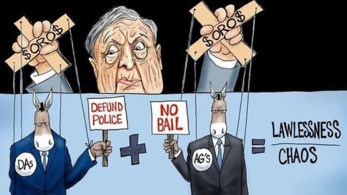 NextImg:Man Who Assaulted Congressional Staffers Had Previously Been Let Off By Soros-Funded Prosecutor