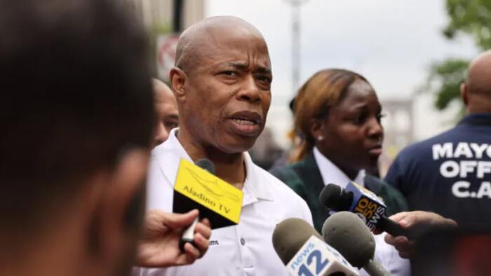 NextImg:New York Democrats Urge Biden To Fast-Track Illegal Alien Work Permits