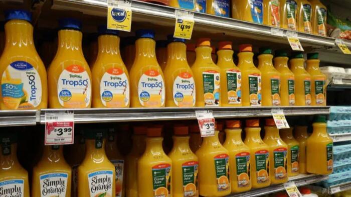 NextImg:Florida Citrus Industry Posts Worst Year Since 1930s After Hurricane Damage And Crop Disease