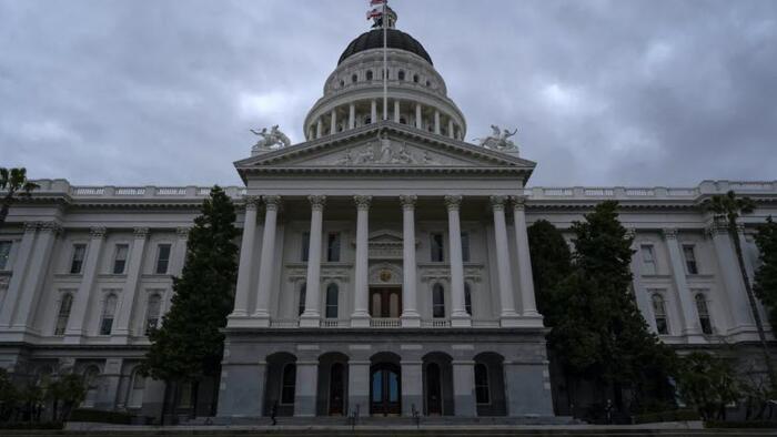 NextImg:Bill To Legalize Psychedelic Mushrooms Advances In California Senate