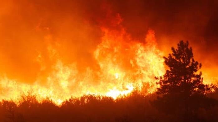 NextImg:Canadian Oil And Gas Producers Restart Production As Wildfires Abate