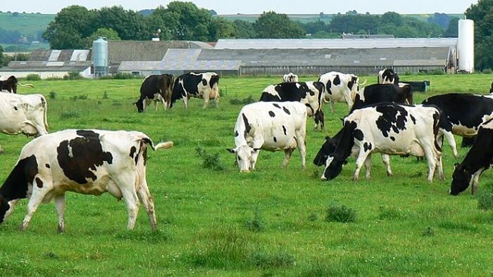NextImg:John Kerry Would Love For Farmers To Stop Farming