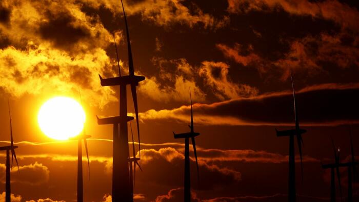 NextImg:The True Cost Of Energy Generated From Wind Turbines