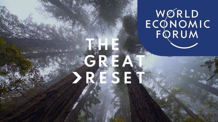 NextImg:The WEF Wants Equitable 'Democratization' Of Stock Markets