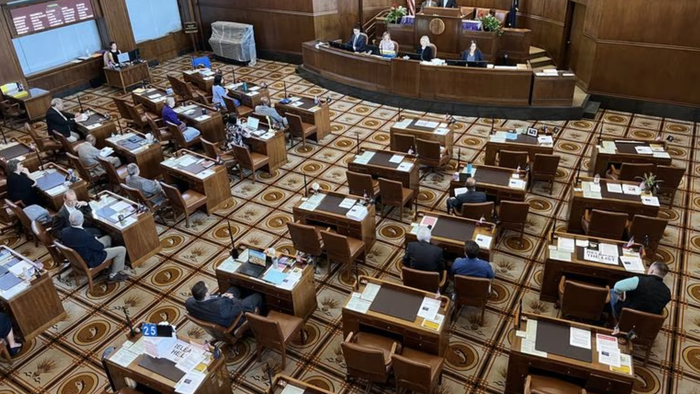 NextImg:Oregon GOP Walkout Targets Bills On Abortions For Children, Gun Control