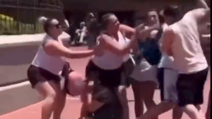 NextImg:Another Disney World Brawl: Guest Conduct Mirrors Company's and Society's Decay