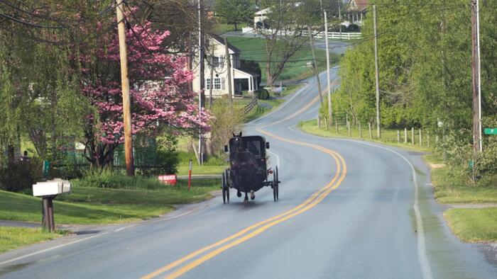 Pennsylvania Amish Kept True To Their Traditions - Then The Government Came - Vimarsana News