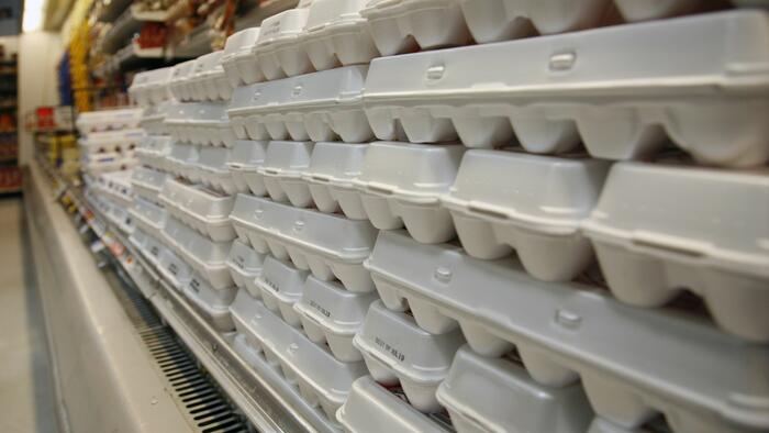 NextImg:Epic Collapse Of Egg Prices Shown In One Chart
