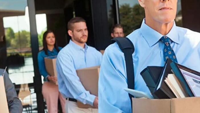 NextImg:Tech Layoff Mania Sparks 200,000 Job Cuts As New Grads Pursue Careers On Wall Street