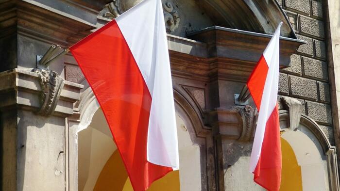 NextImg:Poland Resumes Buying Gold