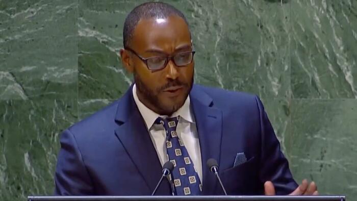 NextImg:Biden Appointee Calls Upon UN To Act To Secure Reparations And End The "Continuation Of Slavery" In The US