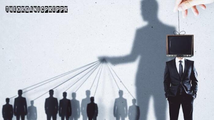 NextImg:Govt. Nudge Units Find The "Best" Ways To Manipulate The Public