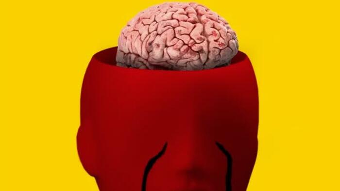 NextImg:The US Desperately Needs A Political Brain Transplant