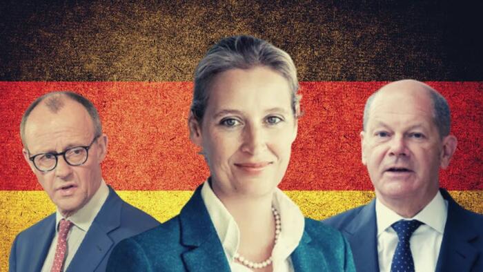 NextImg:"Germany Needs New Elections!" - Right-Populist AfD Party's New Record Polling High Sparks National Political Debate