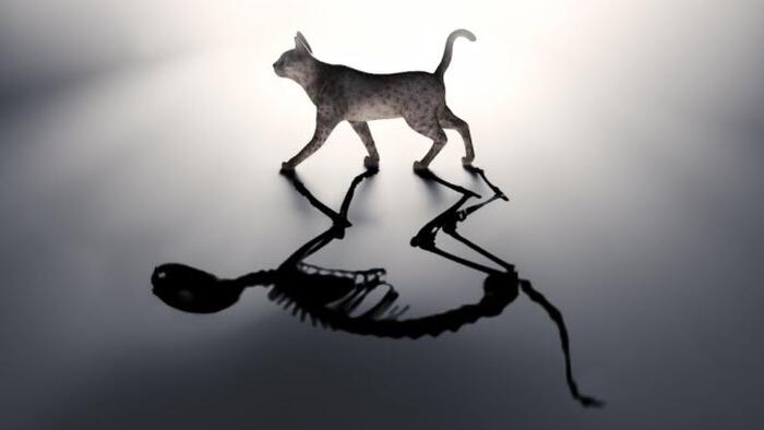 NextImg:Schrödinger's War... And Orwell's