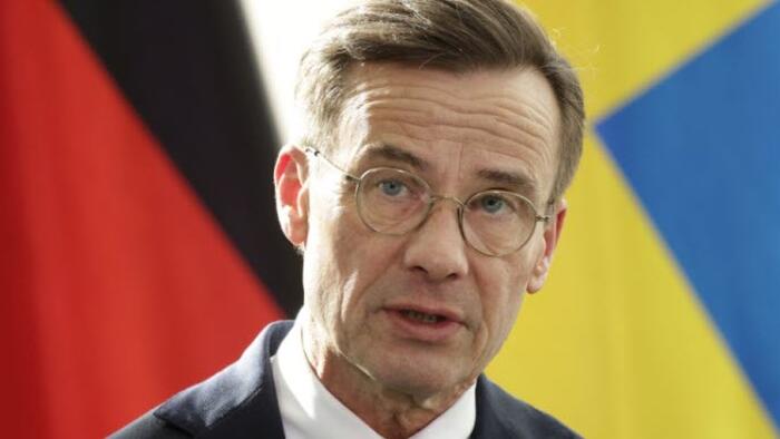 NextImg:Swedish Prime Minister: "Massive Immigration Just Doesn't Work"