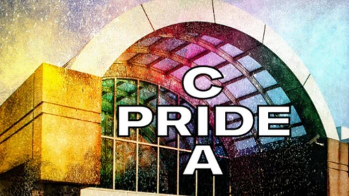 NextImg:CIA Slammed For 'Dystopian' Pride Tweet