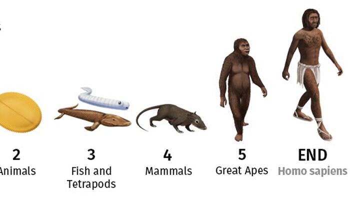 NextImg:The 4 Billion Year Path Of Human Evolution Visualized