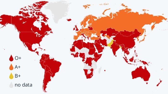 NextImg:These Are The Most Common Blood Types Around The World