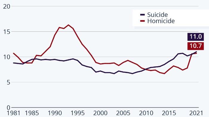 Suicide & Homicide Rates Among Young Americans At Decade High - Vimarsana News