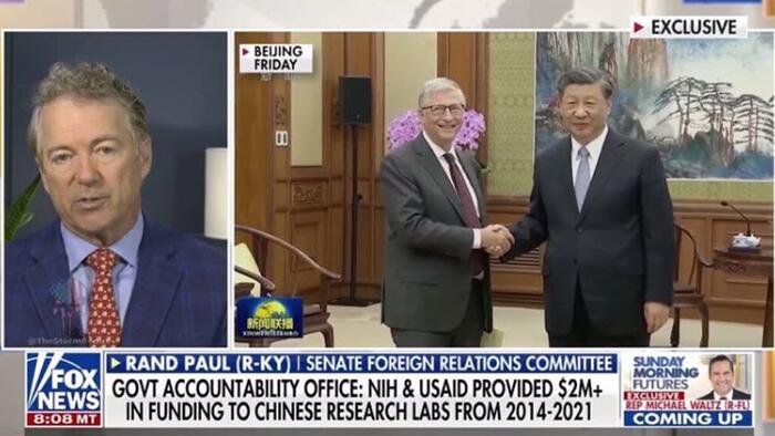NextImg:Rand Paul: "Bill Gates Is Largest Funder Of Trying To Find Viruses In Caves And Bring Them To Big Cities"