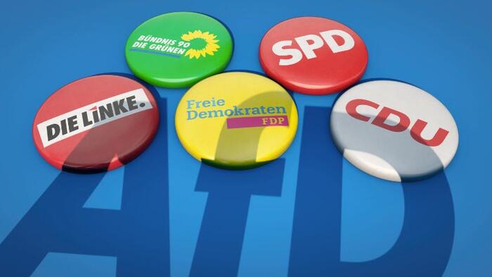 NextImg:Germany's Anti-Immigration AfD Hits New Polling High Of 20%