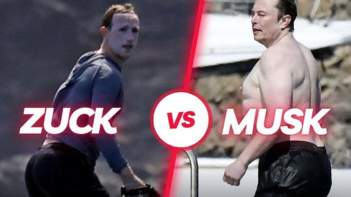 NextImg:Unleashing 'The Walrus': Musk-Zuckerberg Agree To 'Cage Match In Vegas Octagon'