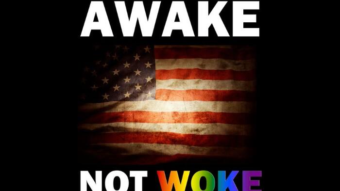 NextImg:Victor Davis Hanson: America Wakes Up To Woke