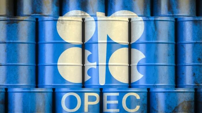 NextImg:OPEC Sees Global Oil Demand Surging 23% By 2045