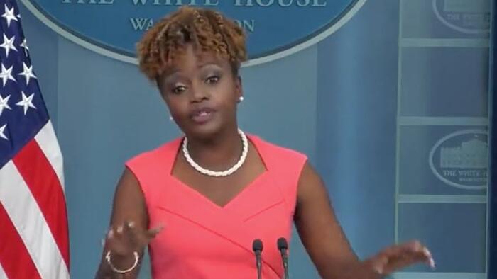 NextImg:White House Edits Out Troublesome Reporter From Press Briefing