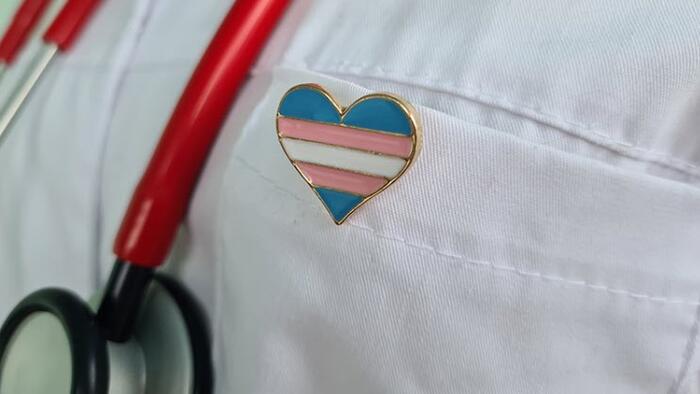 NextImg:250 Hollywood Celebrities Sign Letter Demanding Big Tech Censor Anyone Who Opposes Trans Surgeries On Kids