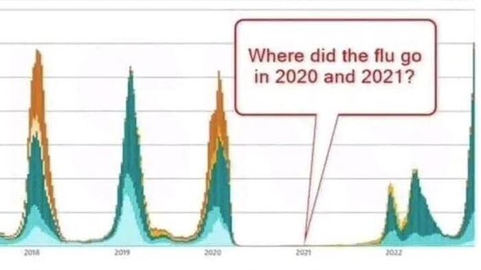 NextImg:Schachtel: How The Flu "Disappeared" During The COVID Era