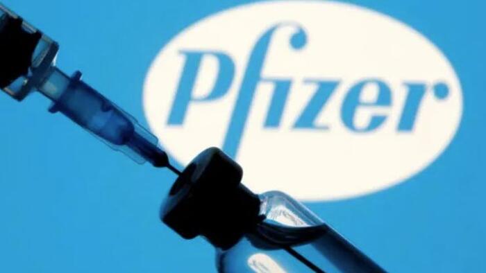 NextImg:Some Pfizer Vaccine Batches In The EU Were Placebos, Say Scientists