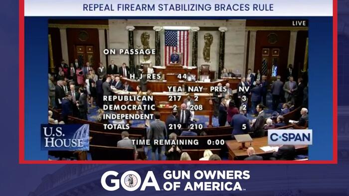 NextImg:A Win For Gun Rights: House Strikes Down Pistol Brace Rule