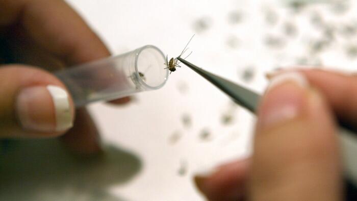 NextImg:Health Officials Put Americans On Notice Over West Nile Virus
