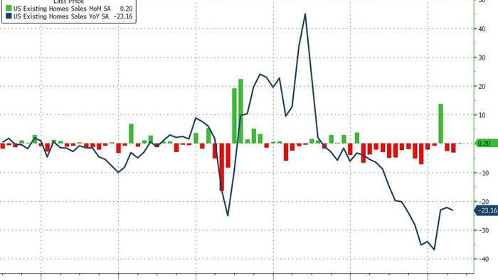 NextImg:Existing Home Sales Unexpectedly Rose In May As Prices Tumble Most Since 2011