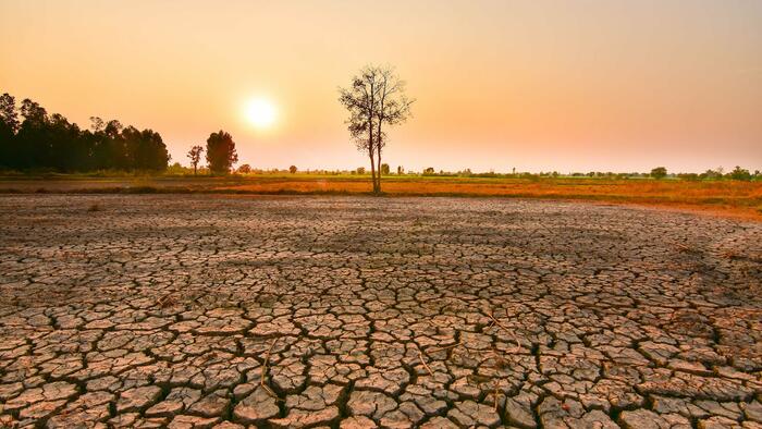 NextImg:El Niño Fears Surge Among CEOs As Economy In Crosshairs Of Extreme Weather