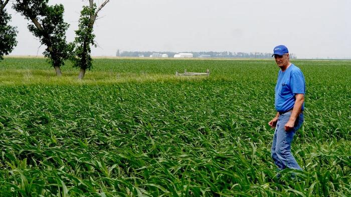 NextImg:Farmers Band Together Against CO2 Pipeline Project In South Dakota