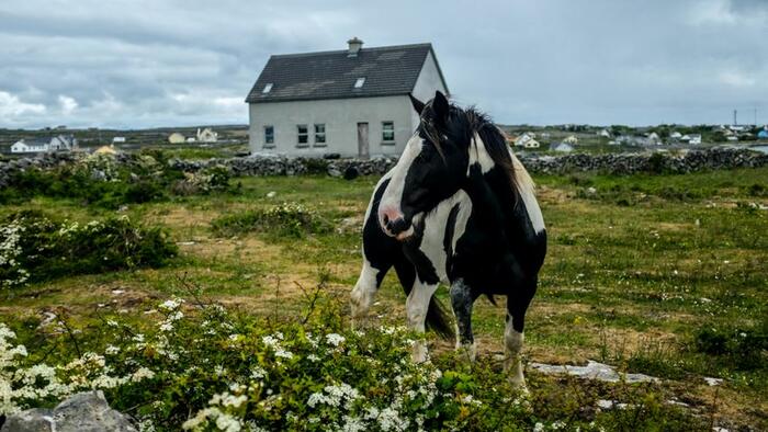 NextImg:Ireland Will Pay Up To $92,000 For People To Live On Its Remote, Idyllic Off-Shore Islands