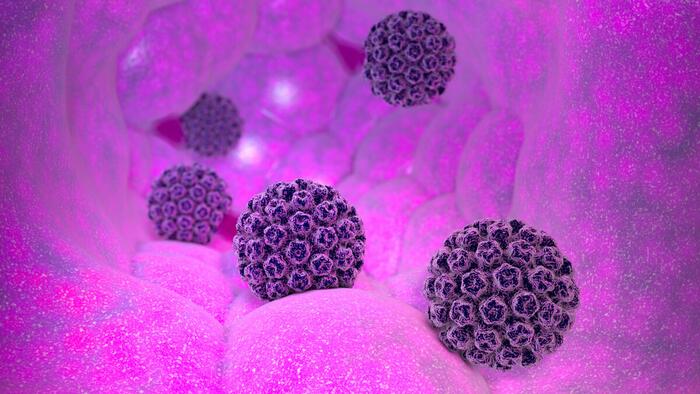 NextImg:HPV Ignites Unexpected Cancer Surge In Middle-Aged Adults