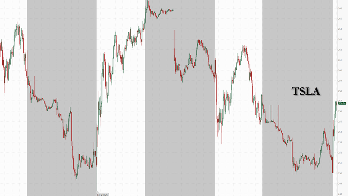 NextImg:Tesla Shares Mostly Unchanged Despite Weekend Goldman Sachs Downgrade