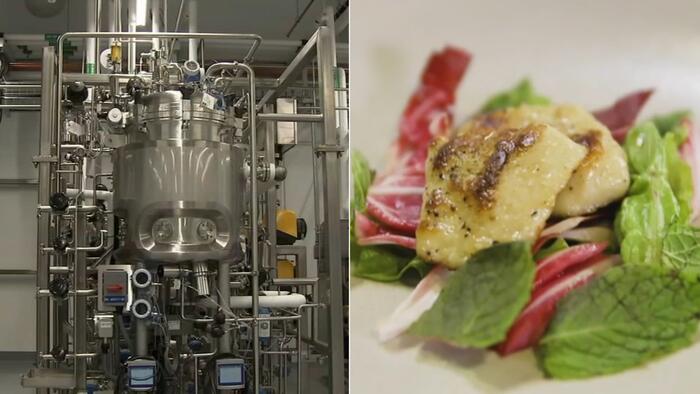 NextImg:Lab-Grown Meat Gets Green Light On US Menus
