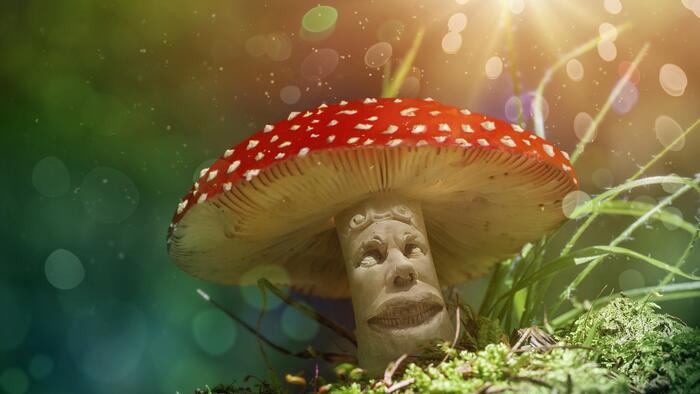 NextImg:'Shroom' Boom Kicks Off Psychedelic Revolution Across America As Psilocybin Consumption Soars