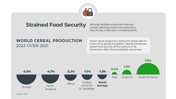 NextImg:Visualizing The Global Implications Of Fertilizer Shortages