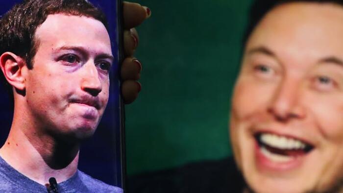 NextImg:Elon Musk Calls Zuckerberg A 'Cuck', Challenges Him To Dick-Measuring Contest