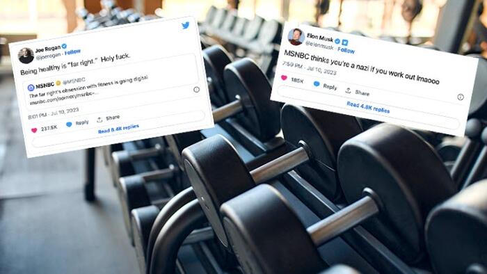 NextImg:MSNBC's 'Fitness=Fascism' Article Resurfaces As Rogan And Musk Tweet It Out