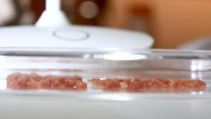 NextImg:Lab-Grown Artificial 'Meat' May Actually Be Worse For The Environment